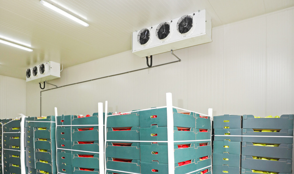 Customizable sizes and settings