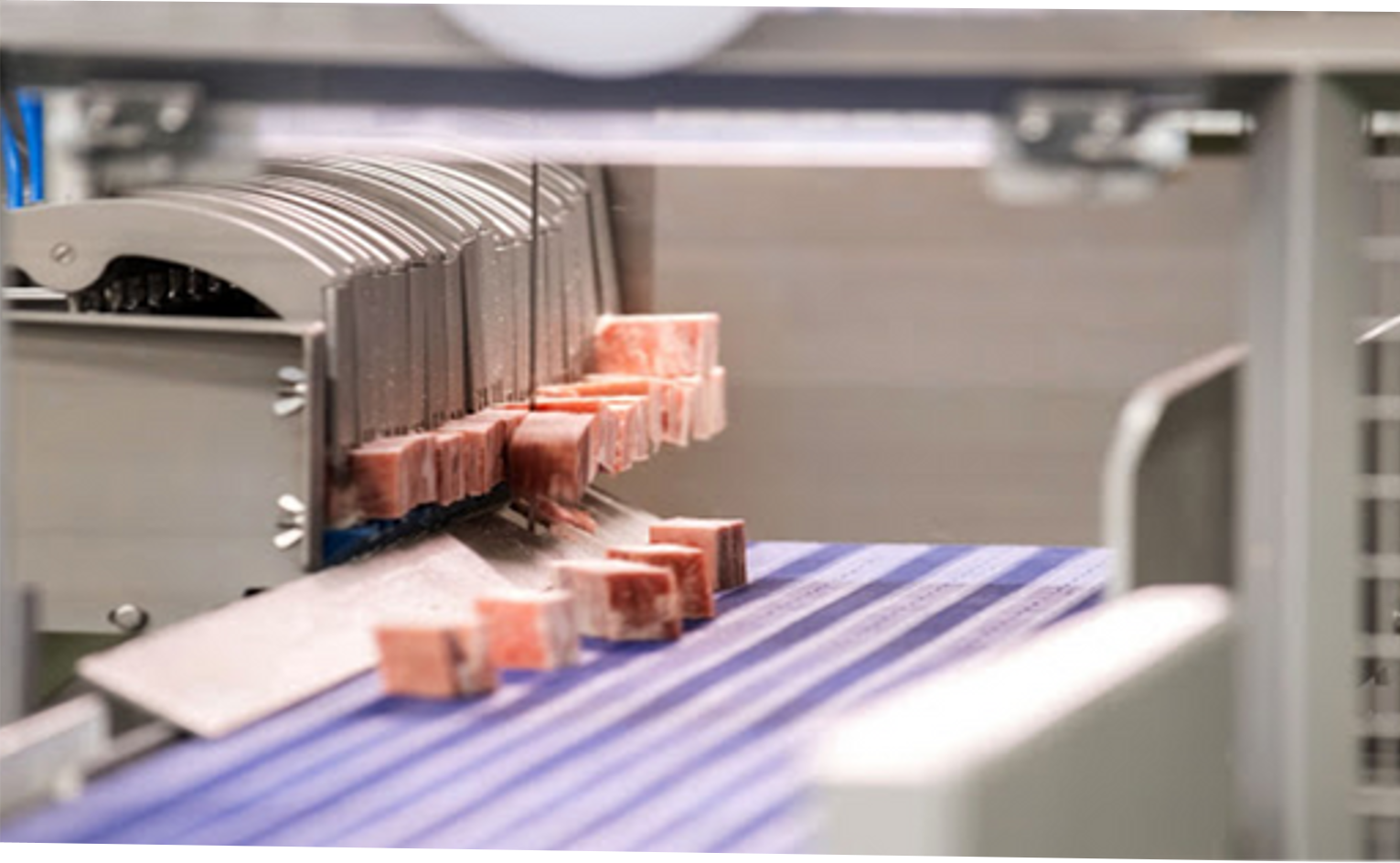 Eliminate food safety risks